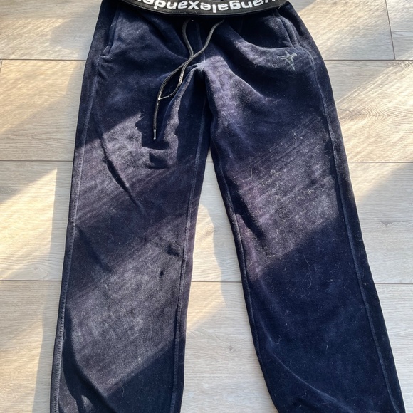 Alexander Wang Velour Sweatpants - Blue (Size S) | Excellent Condition - Picture 7 of 8